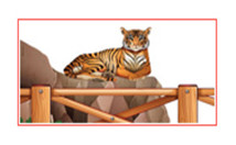 動物園網(wǎng)不銹鋼繩網(wǎng)